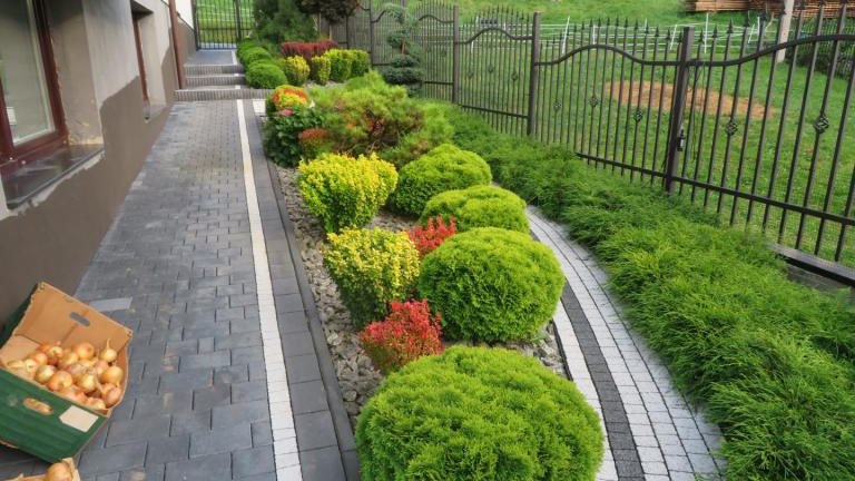 Pulka Beata-l (11) (Niestandardowy).JPG