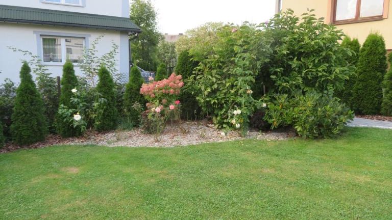 Pulka Beata-l (9) (Niestandardowy).JPG