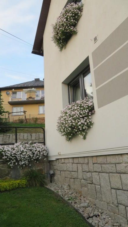 Regiec Lucyna-l (9) (Niestandardowy).JPG