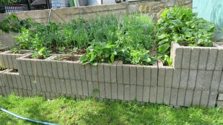 Regiec Lucyna-w (5) (Niestandardowy).JPG