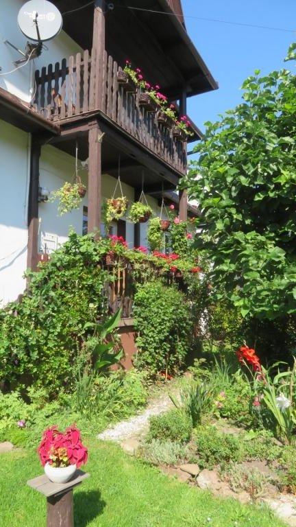 Regiec Maria-l (7) (Niestandardowy).JPG