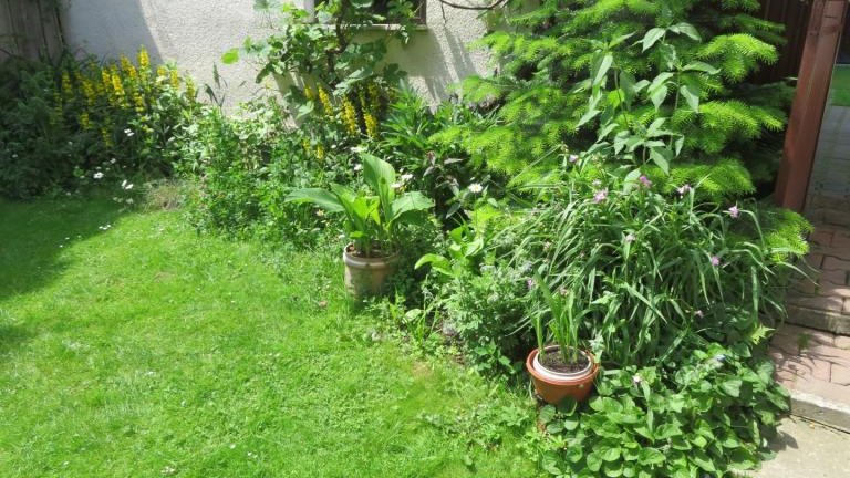 Regiec Maria-w (14) (Niestandardowy).JPG