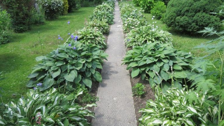 Regiec Maria-w (4) (Niestandardowy).JPG