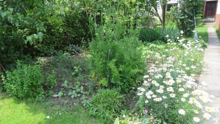 Regiec Maria-w (9) (Niestandardowy).JPG