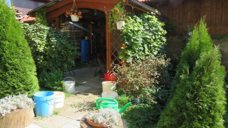 Wach Stanisława-l (5) (Niestandardowy).JPG