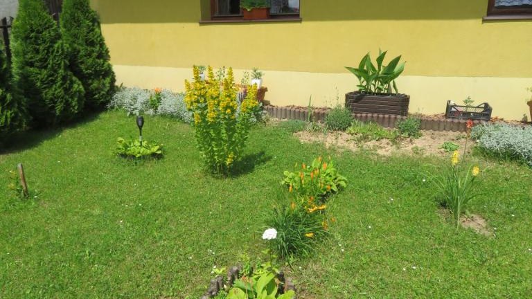 Wach Stanisława-w (6) (Niestandardowy).JPG