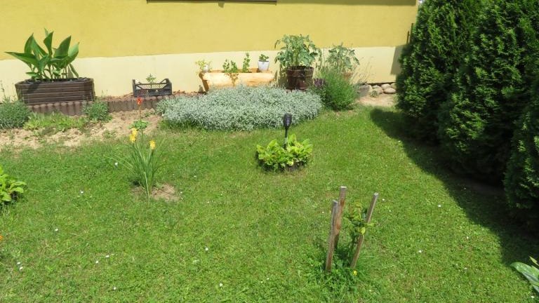 Wach Stanisława-w (7) (Niestandardowy).JPG