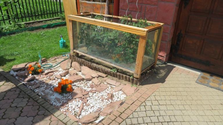 Waradzyn Katarzyna-w (10) (Niestandardowy).JPG