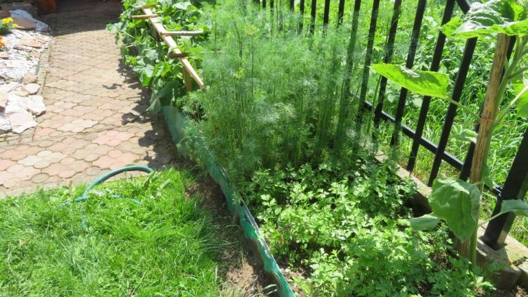 Waradzyn Katarzyna-w (14) (Niestandardowy).JPG