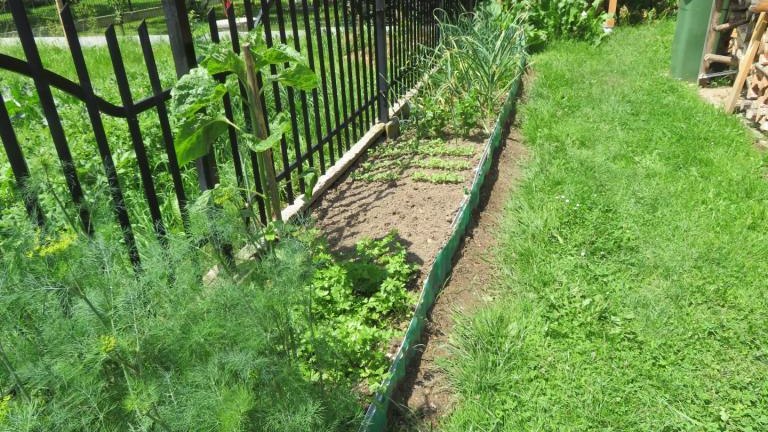 Waradzyn Katarzyna-w (15) (Niestandardowy).JPG