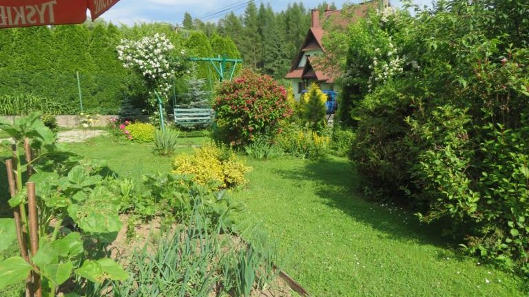 Winczowska Anna-w (18) (Niestandardowy).JPG