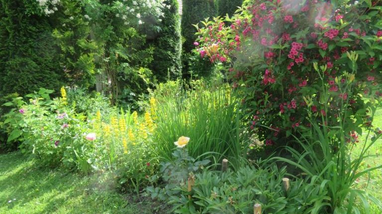 Winczowska Anna-w (2) (Niestandardowy).JPG