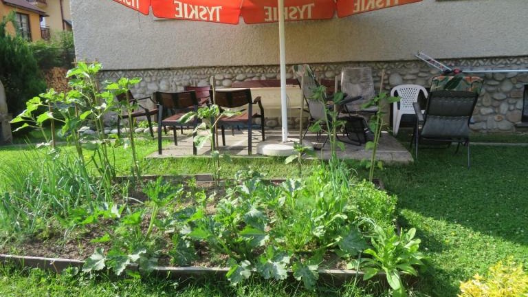 Winczowska Anna-w (7) (Niestandardowy).JPG