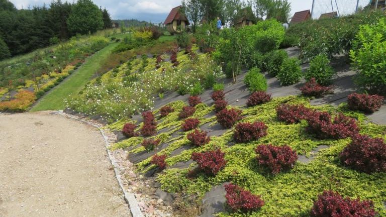 Wolska Anna-w (23) (Niestandardowy).JPG