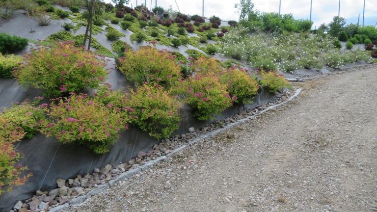 Wolska Anna-w (26) (Niestandardowy).JPG