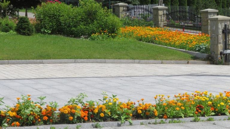 Wolska Anna-w (7) (Niestandardowy).JPG