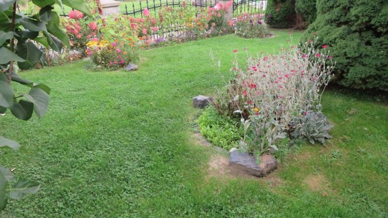 Wolska Lucyna-l (3) (Niestandardowy).JPG