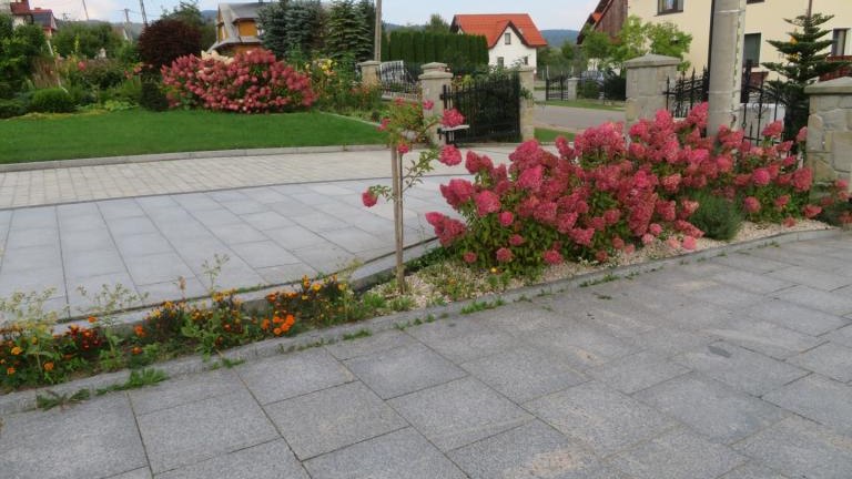 Wolska Lucyna-l (5) (Niestandardowy).JPG