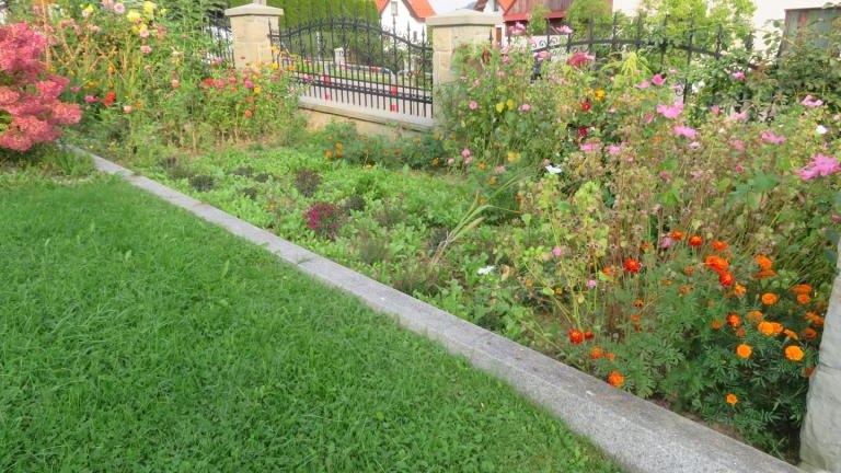 Wolska Lucyna-l (6) (Niestandardowy).JPG