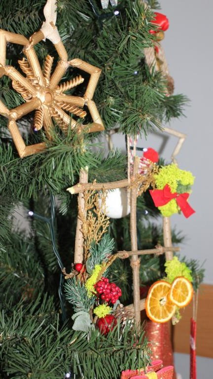 IMG_7416 (Niestandardowy).JPG