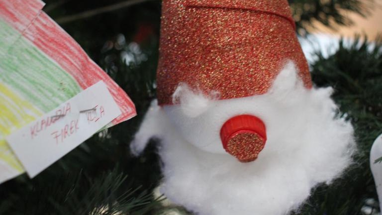 IMG_7453 (Niestandardowy).JPG