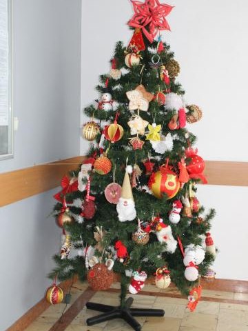 Najpiękniejsza urzędowa choinka