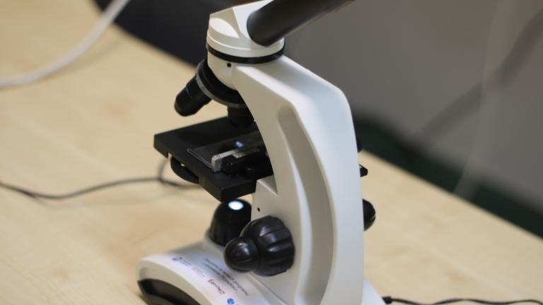 IMG_7833 (Niestandardowy).JPG