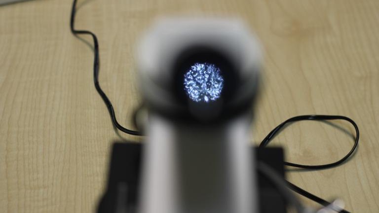 IMG_7843 (Niestandardowy).JPG