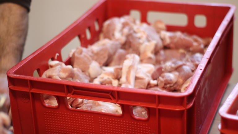 IMG_8066 (Niestandardowy).JPG