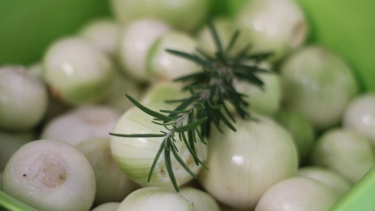 IMG_8125 (Niestandardowy).JPG