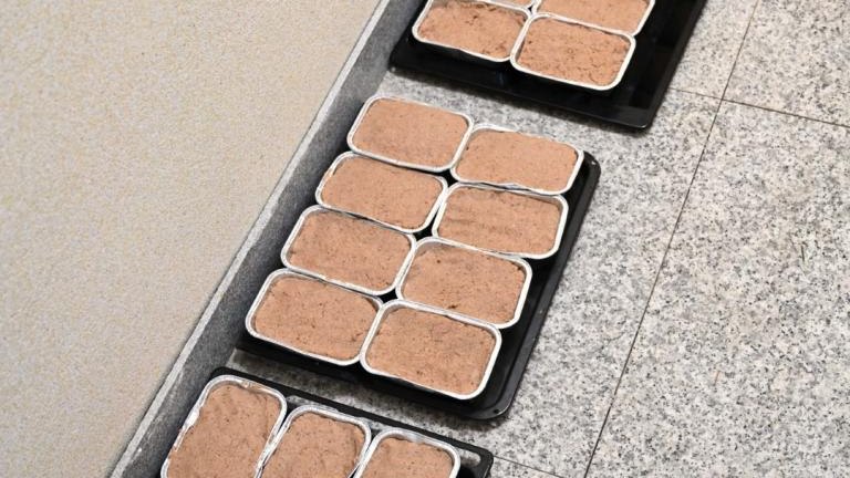 GAJ_0034 (Niestandardowy).JPG