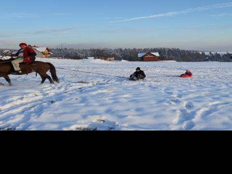 Fundacja Dunajec zaprasza na kulig