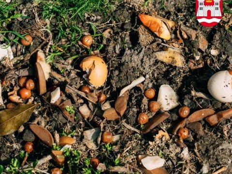 Ankieta dotycząca zagospodarowania bioodpadów