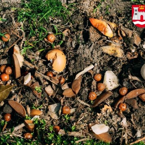 Ankieta dotycząca zagospodarowania bioodpadów