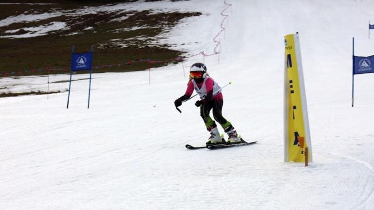 3d1d67175577d9bae196751c629888f6 (Niestandardowy).jpg