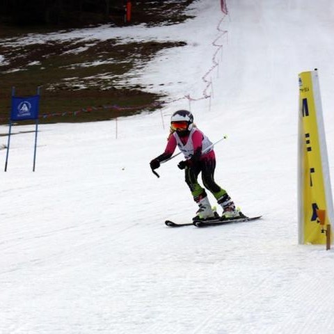 Igrzyska dzieci w narciarstwie alpejskim