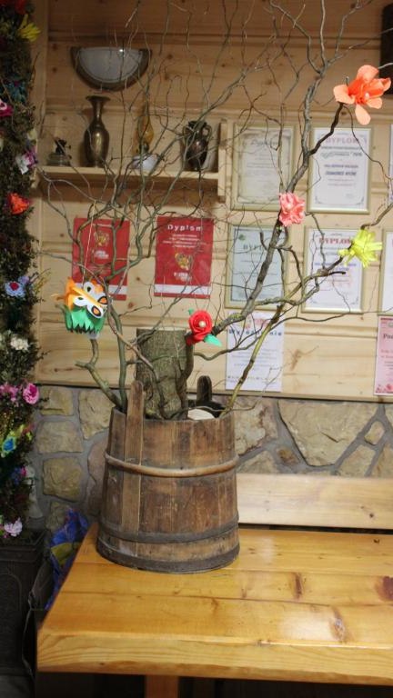 IMG_9316 (Niestandardowy).JPG