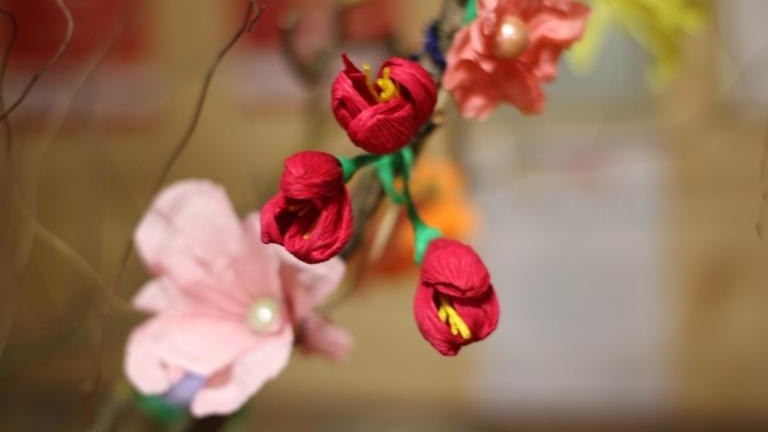 IMG_9347 (Niestandardowy).JPG