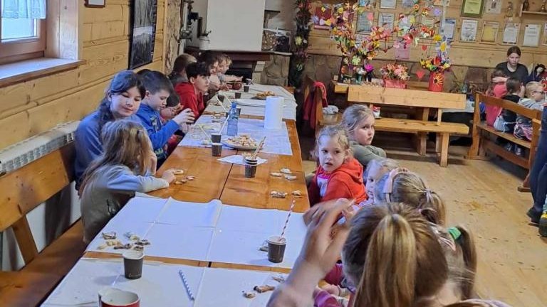 received_242565388917504 (Niestandardowy).jpeg