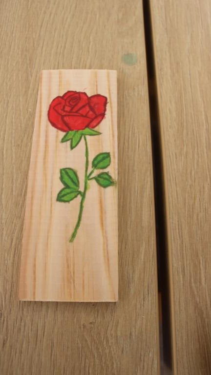 IMG_9744 (Niestandardowy).JPG