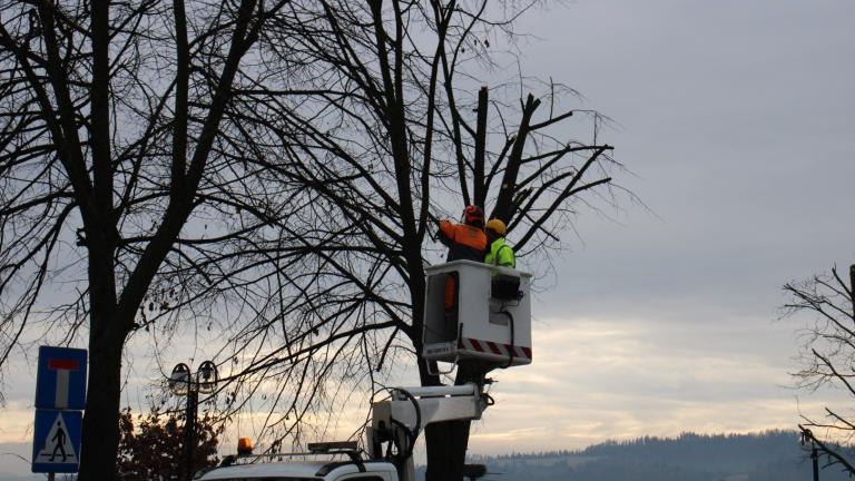 IMG_9534 (Niestandardowy).JPG