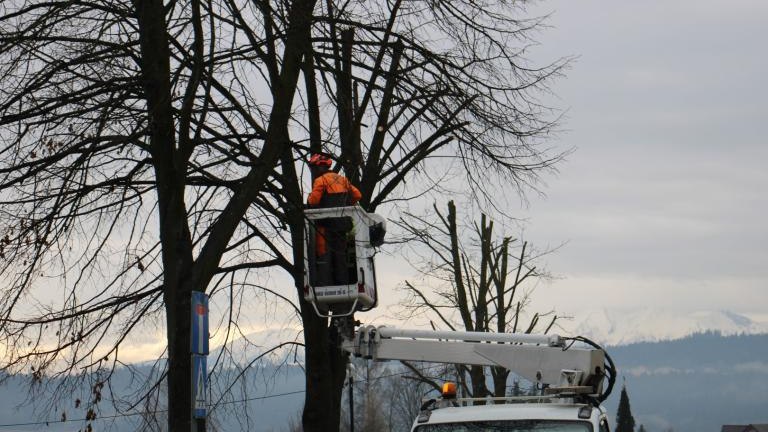 IMG_9538 (Niestandardowy).JPG