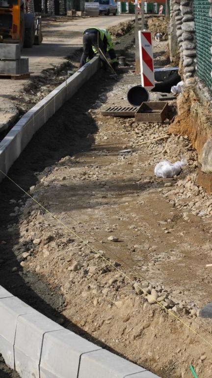 IMG_9787 (Niestandardowy).JPG