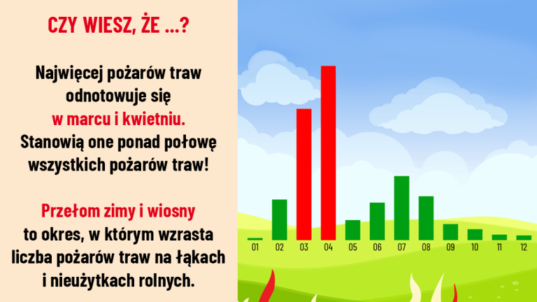 Trawy3 1080x1080 (Niestandardowy).png