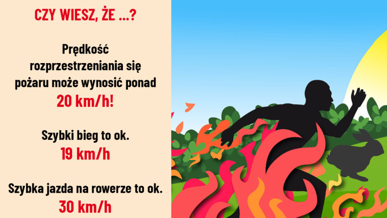 Trawy4 1080x1080 (Niestandardowy).png