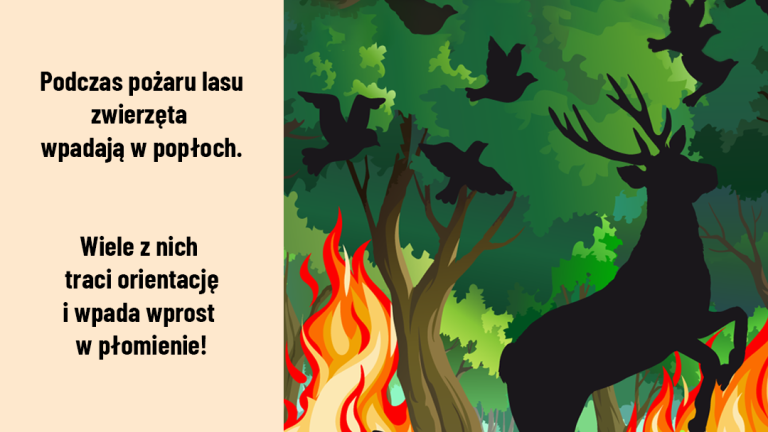 Trawy5 1080x1080 (Niestandardowy).png