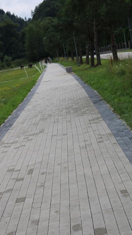 Sromowce Niżne promenada4 (Niestandardowy).JPG