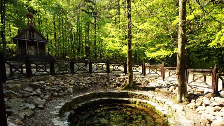 Świętokrzyskie 2.jpg