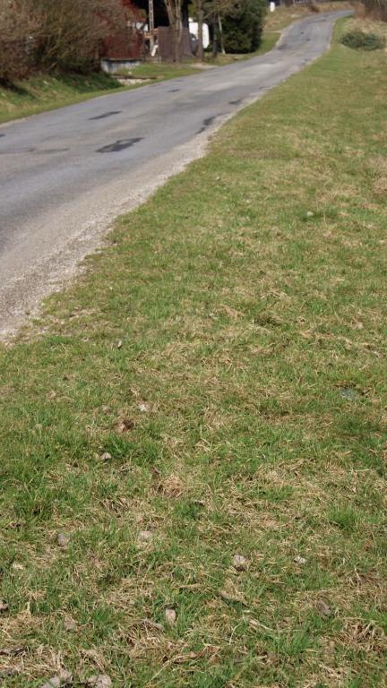 IMG_9928 (Niestandardowy).JPG