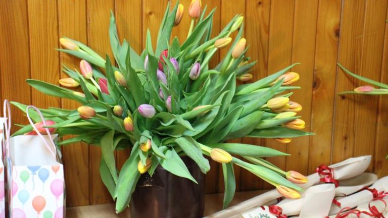 1 (Niestandardowy).JPG